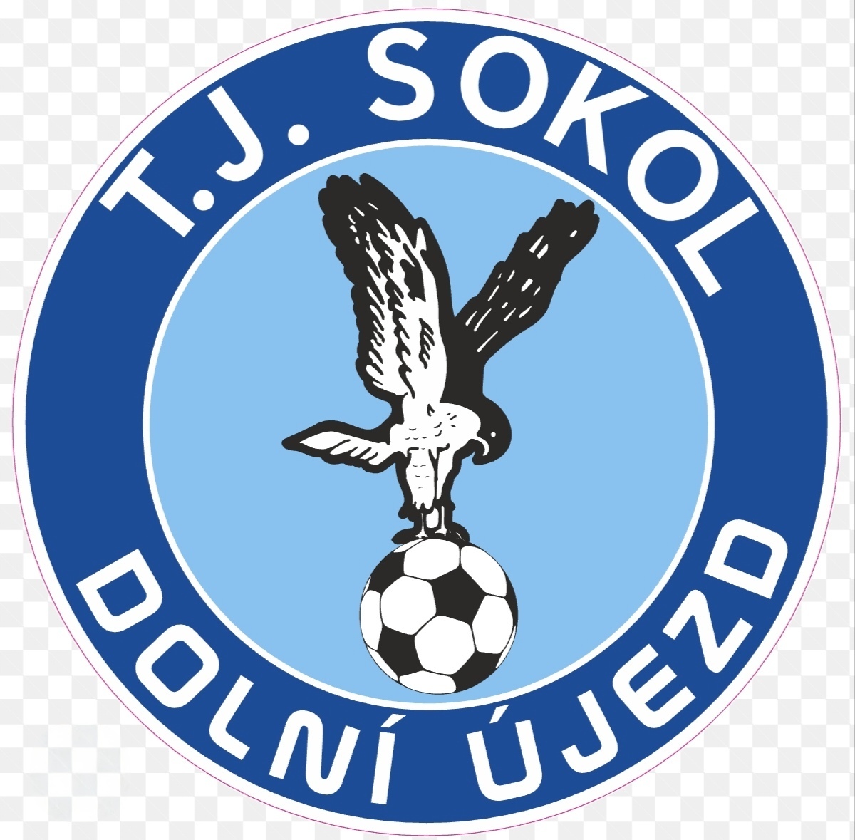 team logo