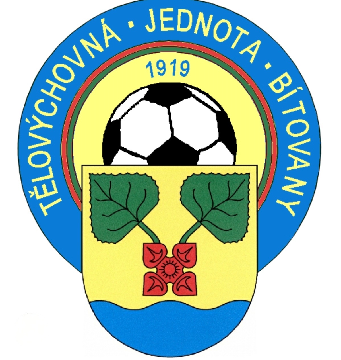 team logo
